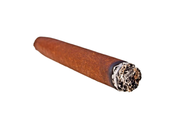 Stogie 2